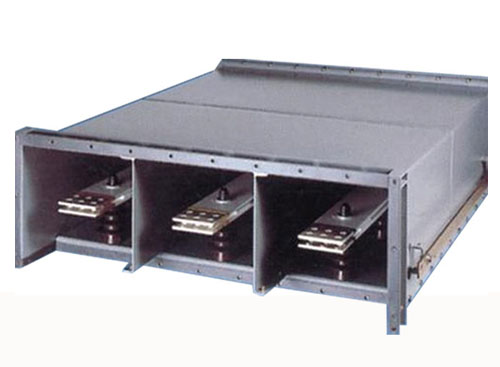 ����߉�ĸ����